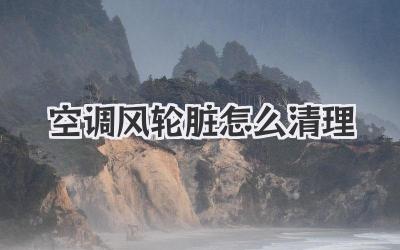 空调风轮脏怎么清理