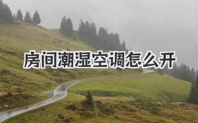 房间潮湿空调怎么开